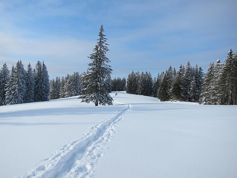 Schneeschuhgeher